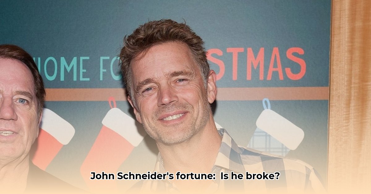 john-schneider-s-net-worth